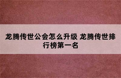 龙腾传世公会怎么升级 龙腾传世排行榜第一名